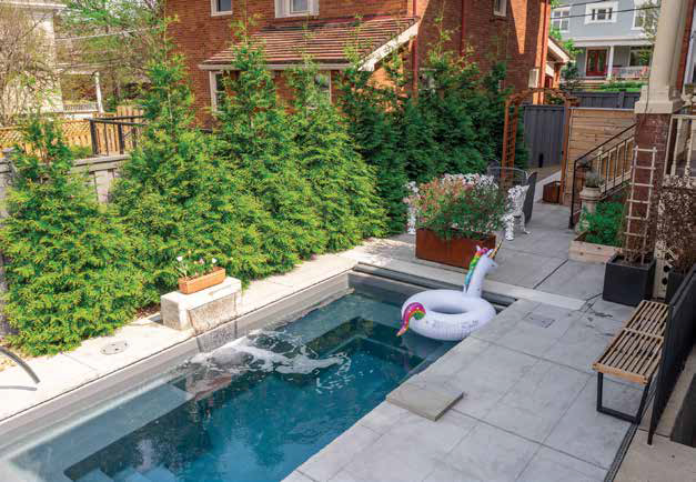 A small, modern backyard cocktail pool with a unicorn floatie next to a paved patio lined with green arborvitae trees in Highland Park.