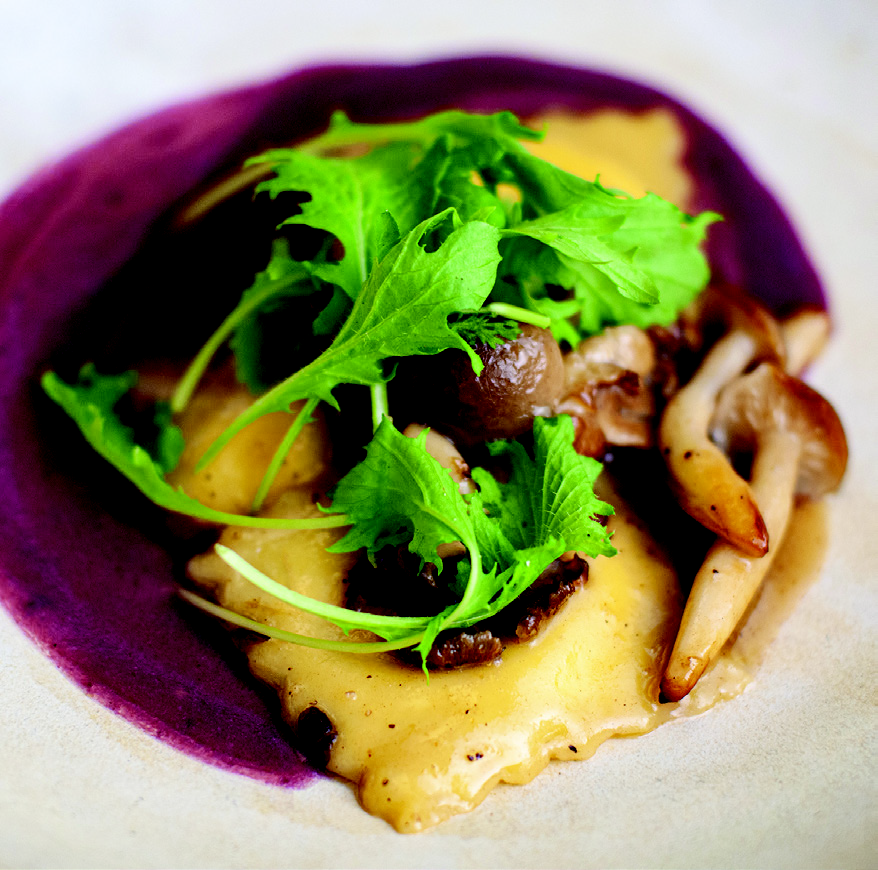 Gourmet house-made ravioli topped with wild mushrooms and fresh greens over a vibrant purple vegetable puree at Casbah.