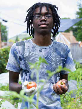 A young man with dreadlocks wearing gloves and holding fresh, ripe tomatoes picked at an urban agriculture garden.