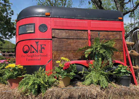 A vintage red horse trailer decorated with potted plants and ferns, featuring the logo for Our Neighborhood Farmstead.