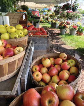 Large bushel baskets filled with fresh yellow and red apples on display at an outdoor farm stand.
