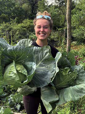 A smiling volunteer holding two massive, freshly harvested heads of green organic cabbage at an urban community farm.