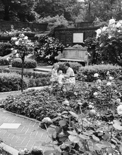 Vintage 1956 black and white photo of families in the historic Mellon Park Terraced Garden rose garden.