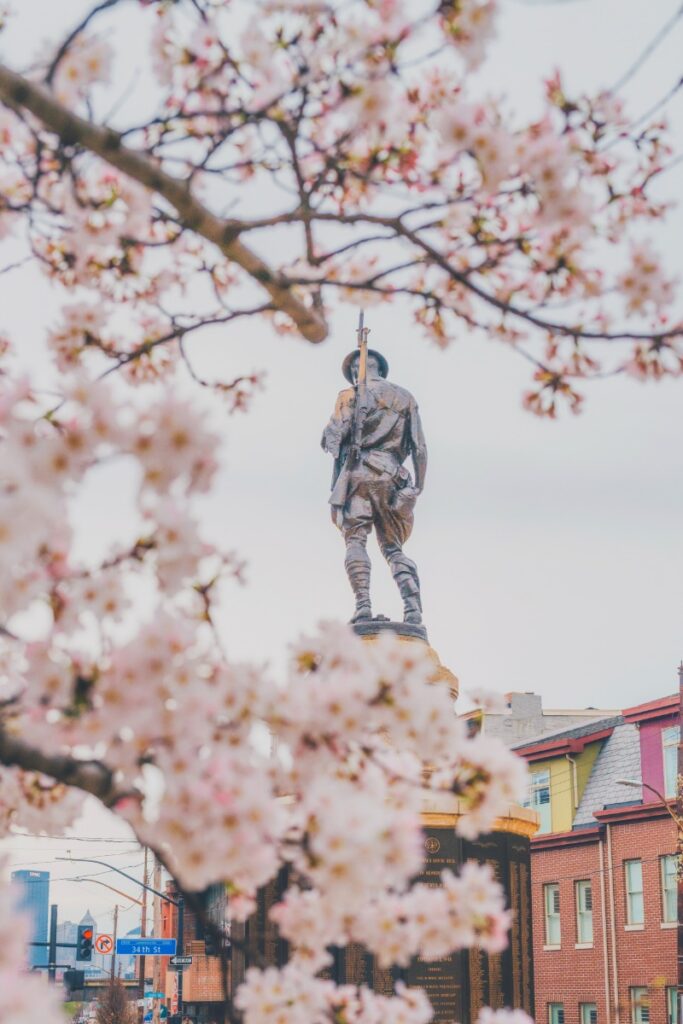 The Lawrenceville Doughboy statue seen through blooming pink cherry blossom trees.